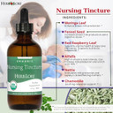 Herb Lore Organic Nursing Tincture  Liquid Lactation Support Drops To Increase Breast Milk Supply With Moringa And Fennel  Fenugreek-Free Breastfeeding Supplement (4 Fl Oz)