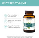 Himalaya Organic Gymnema Sylvestre Herbal Supplement Usda Certified Organic, Non-Gmo, 700 Mg, 60 Plant-Based Caplets
