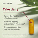 Inflam-95 - Ginger Root Extract 2,000 Mg, Curcumin Root Extract, Boswellia Serrata Extract, Nettle Leaf Extract, Bioperine - Support Healthy Inflammatory Response