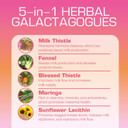 Lactation And Postpartum Support Gummies - With Blessed Thistle, Fennel Seed, Milk Thistle, Moringa, Sunflower Lecithin, Vitamin D3 & B12 - Increase Milk Supply Milk Production