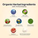 My Vida Origins Liver Detox With Organic Milk Thistle Organic Dandelion Extract And Choline With Nac  Liver Detox 120 Capsules