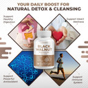 Black Walnut Wormwood Whole Cloves Goldenseal - Rich In Antioxidants, Digestive Health- Made And Tested In The Usa Black Walnut Wormwood Whole Cloves Goldenseal - Rich In Antioxidants, Digestive Health- Made And Tested In The Usa