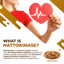 Nattokinase 11-In-1 Formula - With Red Yeast Rice Coenzyme Q-10 Quercetin, Milk Thistle, Resveratrol - Non-Gmo, Gluten-Free, Soy-Free
