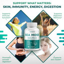 Sea Moss Black Seed Oil Ashwagandha Ginger 16-In-1 Formula - With Burdock, Bladderwrack, Turmeric Non-Gmo, Gluten-Free, Soy-Free