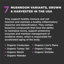 Super Snouts Super Shrooms Mushroom Immune Support Supplement For Dogs And Cats, 5.29 Oz - Made In Usa Organic Non-Gmo, Immune Health, Strong Immunity, 7 Mushroom Blend Powder