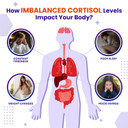 Vital Herbal Cortisol Health Supplement - Liposomal Magnesium With Ashwagandha L-Theanine St. John'S Wort - Maximum Potency - Support Restoration, Strength - Made In The Usa