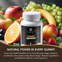 Chaga Mushroom Gummies  Antioxidant Immune Support Supplement - Dietary Mushroom Supplement - 60 Gummies - Made In Usa - Shrooms For Health - Organic Vegan Frendly