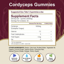 Cordyceps Mushroom Gummies  5400Mg Per Serving*, Cherry, Grape, Apple & Orange Flavors, 60 Count, Vegan Mushroom Supplement For Energy, Focus & Brain Health, Made In Usa
