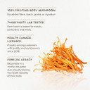 Cordyceps Mushroom Capsules By Bloomable I Energy And Endurance (120 Capsules)