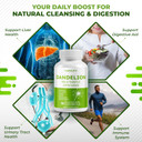 Dandelion Milk Thistle Artichoke Burdock Turmeric - Support Liver Health, Support Digestive Aid - Made And Tested In The Usa