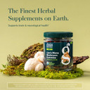 Gaia Herbs Lion'S Mane Mushroom - Natural Brain Support Supplement - Made With Organic Lion'S Mane Mushrooms - Free From Gluten, Soy & Dairy - 60 Vegan Gummies (30 Servings)