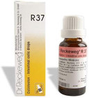Dr. Reckeweg R37 Intestinal Colic Drops (22Ml) (1)