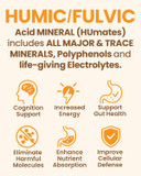 Humic And Fulvic Mineral Immune Boost Raw Powder Mineral Supplement, 60 Count