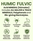 Raw Liquid Mineral  Organic Humic Acid & Fulvic Acid Major & Trace Minerals & Electrolytes Supplement  Plant-Based For Immune, Gut & Detox Support (8 Oz)