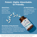 Designs For Health Magnesium Glycinate Complex - Chelated Magnesium Bisglycinate + High Absorption Magnesium Oxide For Heart Health, Immune Support & Bone Strength - Vegan (240 Capsules)