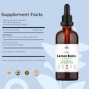Lemon Balm Tincture  Alcohol-Free Herbal Supplement For Relaxation, Calm & Digestive Support  Vegan, Glycerin-Based Extract  1.7 Fl Oz (50 Ml)
