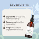 Rosemary Tincture  Alcohol-Free Herbal Extract For Focus, Circulation & Digestive Support  Vegan, Non-Gmo, Glycerin-Based Supplement  3.4 Fl Oz (100 Ml)