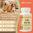 Lift The Qi 120 Tabs By Kan Herbs By Kan Herbs - Essentials