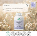 Nadh+ - High Potency Cellular Energy Booster - Supports Mental Clarity, Focus & Cognitive Health - 100% Vegan Formula (60 Capsules)