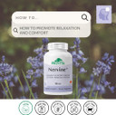 Nervine: Herbal Support For Stress, Anxiety & Sleep (60 Capsules)