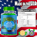 Sea Moss Gummies & Apple Cider Vinegar - Burdock Root + Bladderwrack - 102 Minerals For Daily Wellness & Nutrient Support - 60 Seamoss Gummies For Kids & Adults - Made In The Usa