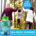 Sea Moss Gummies & Apple Cider Vinegar - Burdock Root + Bladderwrack - 102 Minerals For Daily Wellness & Nutrient Support - 60 Seamoss Gummies For Kids & Adults - Made In The Usa