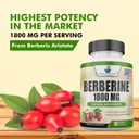 Berberine 1800Mg Per Serving, Berberine Supplement, Berberine Hcl, Berberine Pills, Berberine Capsules, Cardiovascular & Heart Health, Immune Support, 90 Veggie Capsules