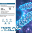 Urolithin A Supplement 2000 Mg - 240 Capsules Powerful Antioxidant Protection, Promoting Healthy Aging & Mitochondrial Health And Cell Repair Support For Men & Women