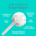 Further Food Collagen Peptides Powder Supplement, 113 Servings (32Oz)