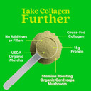 Further Food Pumpkin Spice Collagen
