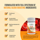 Iron Complex, Complete Blood Building Iron Vegetarian Capsules With Non-Constipating Carbonyl Iron, Quatrefolic, B12, B6 & Vitamin C, For Women & Men (60 Caps)