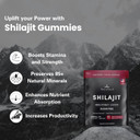 Pure Himalayan Shilajit Resin Potency Gummies Supplement For Men & Women | 1000Mg Sugar Free 85+ Trace Minerals | Immumity, Energy, Vitality & Brain | Natural Raspberry Flavor (60 Count)