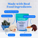 Further Food Organic Vegan Protein Powder Unflavored - 20G Of Plant Based Protein, Organic Protein Powder With Mushrooms & Seaweed, Vegan, Non Gmo, Gluten Free, Dairy Free 19.05 Oz Further Food Organic Vegan Protein Powder Unflavored - 20G Of Plant Based Protein, Organic Protein Powder With Mushrooms & Seaweed, Vegan, Non Gmo, Gluten Free, Dairy Free 19.05 Oz