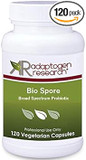 Bio Spore Broad Spectrum Probiotic | Soil-Based (Sbo) & Shelf-Stable 2 Billion Cfu Bacillus Coagulans & Subtilis Spore Forming Probiotic For Men & Women | 120 Vegetarian Capsules | Adaptogen Research