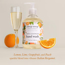 Deep Steep Liquid Hand Wash, 17.6 Ounces (Citrus Champagne)