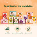 Sof Triple Milled Bar Soap - With Coconut Oil & Organic Shea Butter- Vegan & Non Gmo- Free From Phthalates, Sulfates & Parabens- Shea Butter - 6 Oz Bar 4 Bars