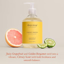 Deep Steep Liquid Hand Wash, Sugar Plum, 17.6 Oz  Moisturizing Cleanser With Olive Oil, Aloe Vera, Glycerin & Hyaluronic Acid  Vegan, Clean Beauty, Soft & Nourished Hands