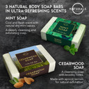 O Naturals Bar Soap For Men - 3-Pcs Mens Soap Bar - Natural Soap - Mens Bar Soap - Men Soap - Natural Soap For Men - Organic Men'S Soap Bars - Exfoliating Soap Bar - Citrus, Olive & Cedarwood