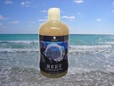 Reef Luxury Shea And Cocoa Butter With Sea Kelp Extract (Body Wash)
