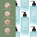 Pecksniff'S Classic Sandalwood & Vanilla Scented Moisturizing Hand Wash | 750Ml, 25.3 Fl Oz