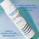 Seaweed Bath Co. Energize Body Wash, Grapefruit Orange Scent, 12 Ounce, Shower Gel For Men & Women, Vegan, Paraben Free, Sulfate Free, Cruelty Free