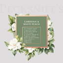 Pecksniff'S Coconut & Dragon Fruit Radiance Exfoliating Shower Gel | 1000 Ml / 33.80 Fl Oz