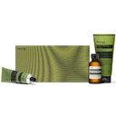 Aesop Geranium Body Care Trio (Body Cleanser 3.3 Oz + Body Balm 3.3 Oz + Body Scrub 6.2 Oz)