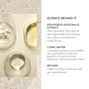 Natura Bissé Oxygen Mousse | Fresh Foaming Cleanser | Cleanses, Mattifies & Unclogs Pores | For All Skin Types, 5.3 Oz