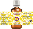 Deve Herbes Pure Angelica Essential Oil (Angelica Archangelica) With Glass Dropper Natural Therapeutic Grade Steam Distilled 15Ml (0.50 Oz) Deve Herbes Pure Angelica Essential Oil (Angelica Archangelica) With Glass Dropper Natural Therapeutic Grade Steam Distilled 15Ml (0.50 Oz)