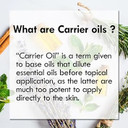 Dève Herbes Pure Organic Moringa Oil (Moringa Oleifera) Cold Pressed 30Ml (1 Oz)