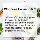 Dève Herbes Pure Olive Oil (Olea Europaea) With Glass Dropper Cold Pressed 30Ml (1 Oz)