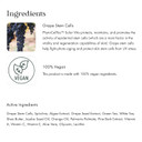 Scientific Organics Grape Stem Cell, White Tea + Seaweed Body Butter - Nourishing Plant Stem Cell Cream With Vitamins A, C, E For Dry Skin (6.7 Oz, 200 Ml)