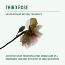 Corpus - Natural Deodorant Stick For Sensitive Skin | Aluminium + Baking Soda Free | Unisex, Non-Toxic, Made In The Usa (California)