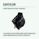 Corpus - Natural Deodorant Stick For Sensitive Skin | Aluminium + Baking Soda Free | Unisex, Non-Toxic, Made In The Usa (Santalum)